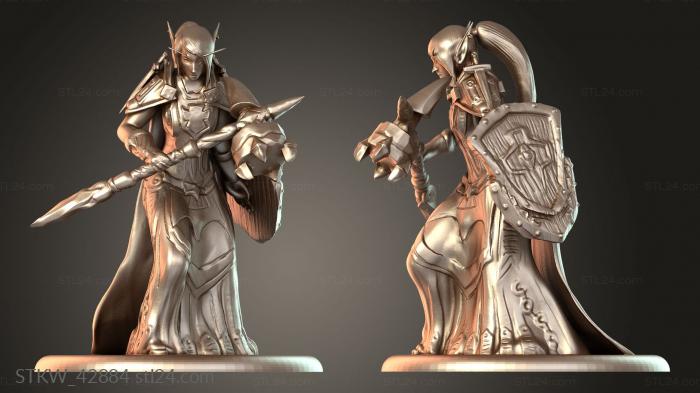 Blood Elf Paladin