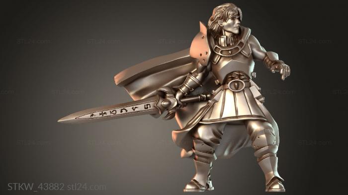 Cecil the Paladin