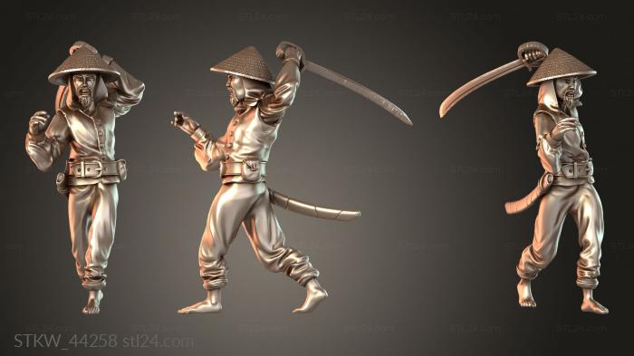 Chapter Pirate Evasive
