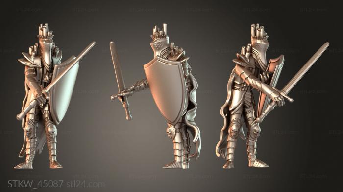 Cursed Knight with Sword and Shield Darkbound