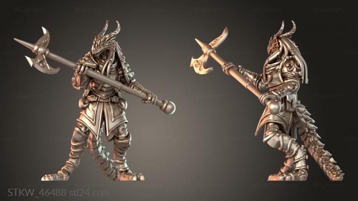Dragonborn Guard Guarding Watchful