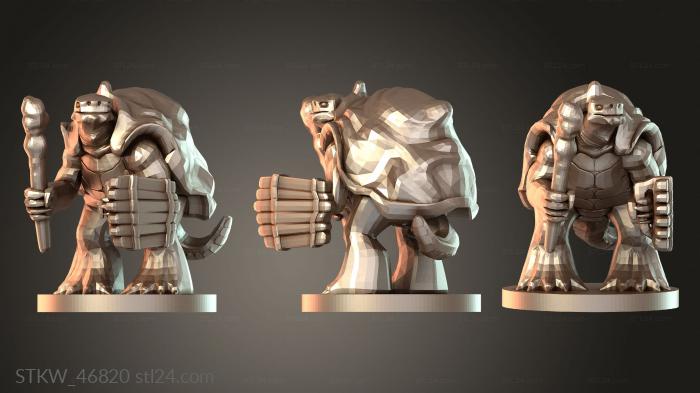 Druids Tortle Druid