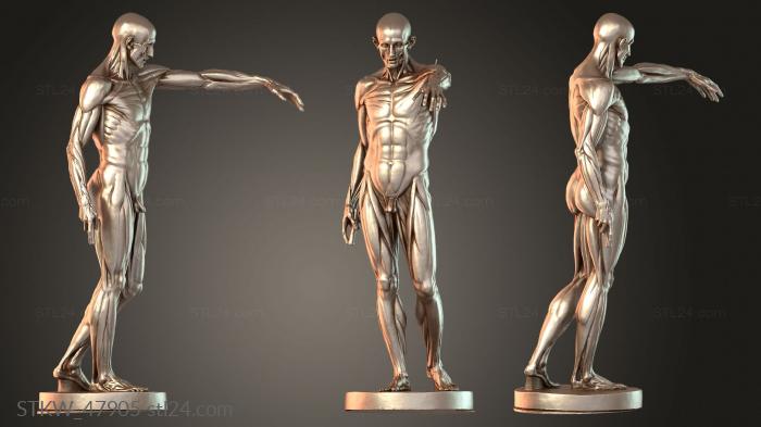 Ecorche