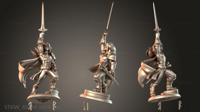Elf Paladin elfpaladin noshield