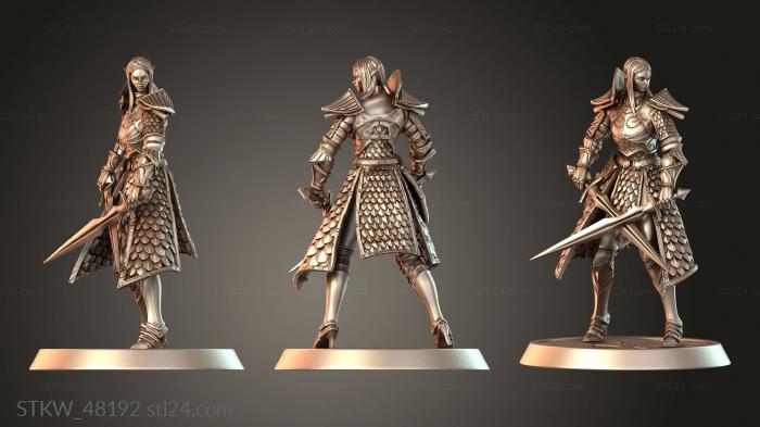 Elf Soldier Dual Sword