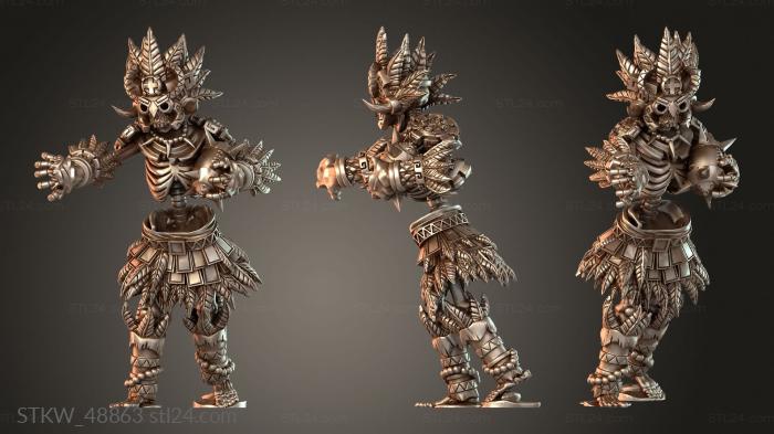 Equipo reyes aztecas lineman v2