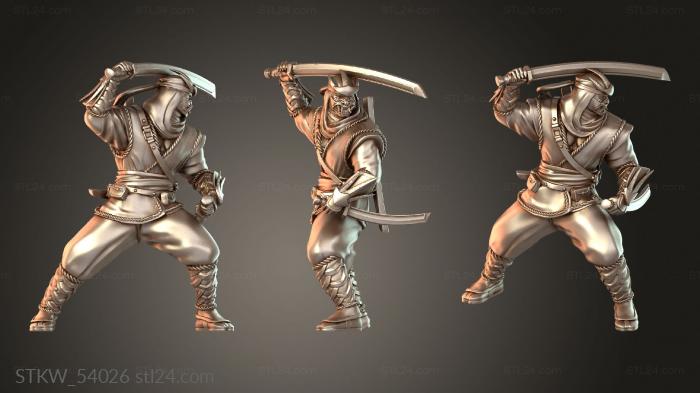 Iron Shadows Assassins