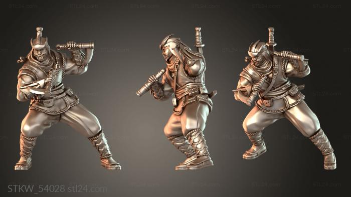 Iron Shadows Assassins