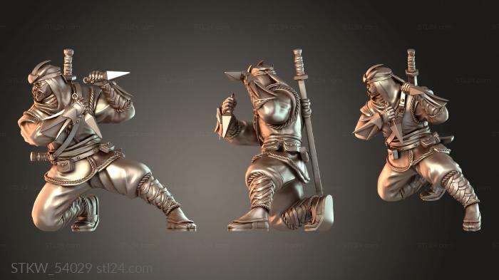 Iron Shadows Assassins watchful