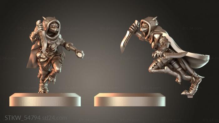 Kobold Male Dragonbord Rogue