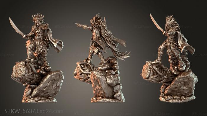 Raiders Dariash