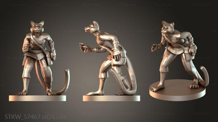 Tabaxi Female Rogue