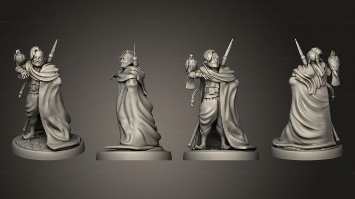 Military figurines (Fir Bholg Falconer, STKW_6270) 3D models for cnc