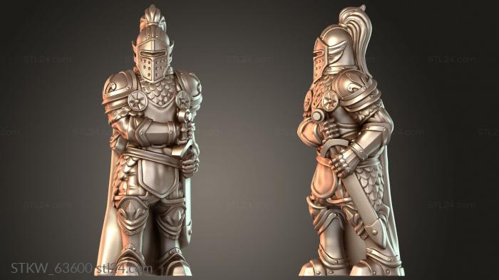 Royal Guard Ding Warrior