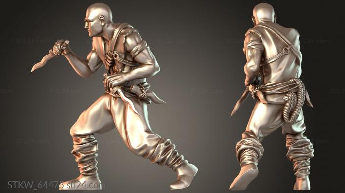 Seas Pirate Brigand