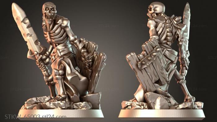 Skeleton sword wooden shield