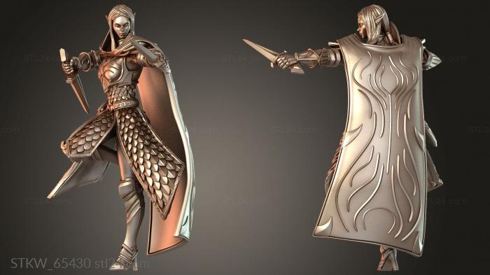 Soldier Dual Dagger Stance