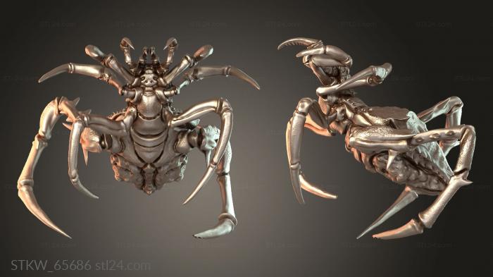 Spider Warlike Beast