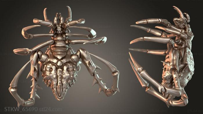 Spider Warrior Wild