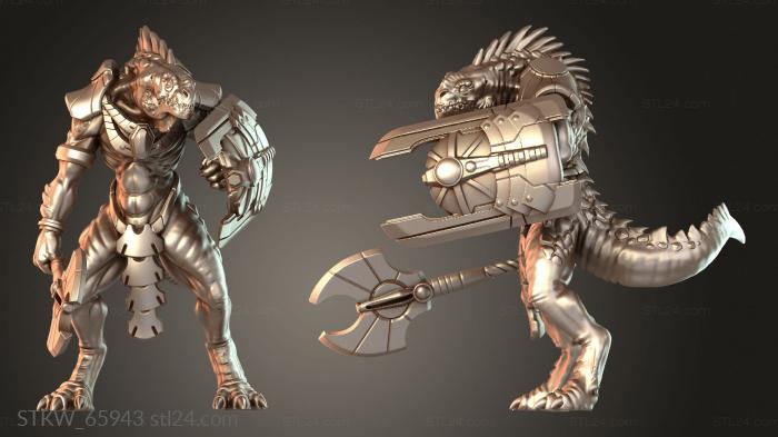 Stellar Warrior Sentinel