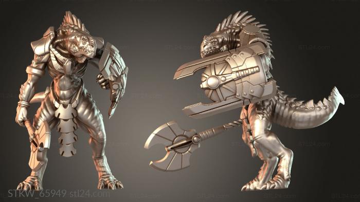 Stellar Warrior Preliminary Form