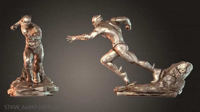 The Flash arm