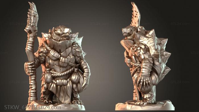 Turtle Folk Elder