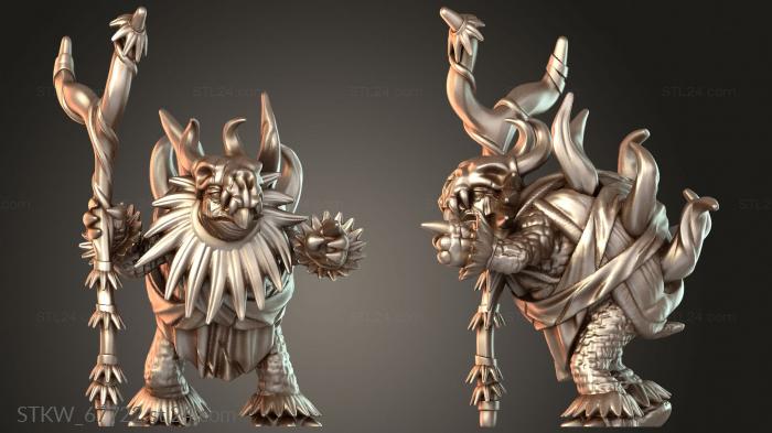 Turtle Folk Tribe Shaman