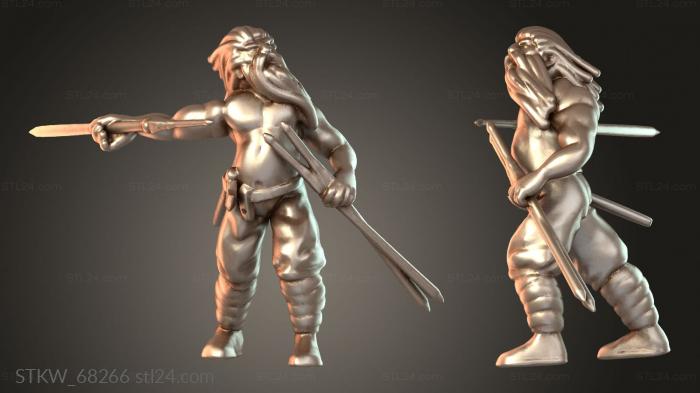 Viking With Pilum