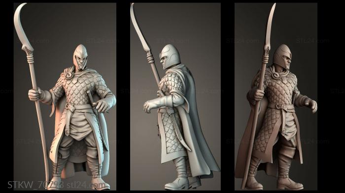 The Aes Sidhe Soldier