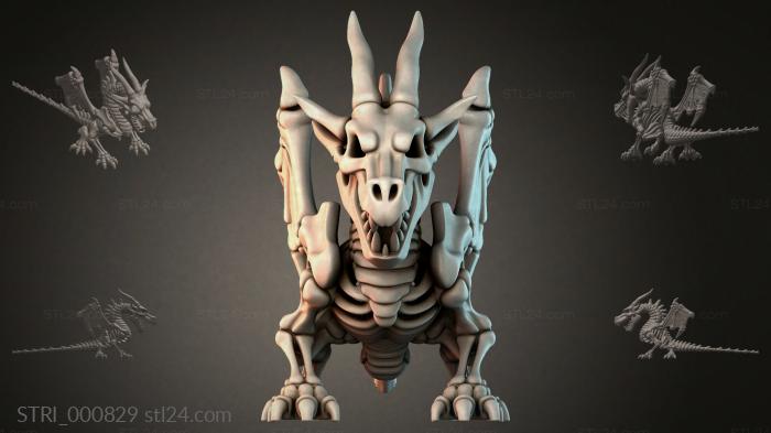 STRI_000829