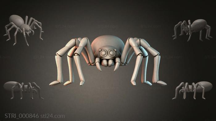 STRI_000846