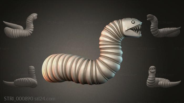 STRI_000890