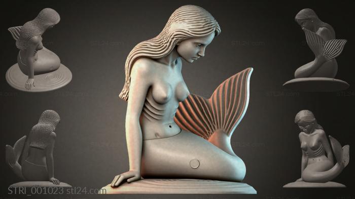 STRI_001023