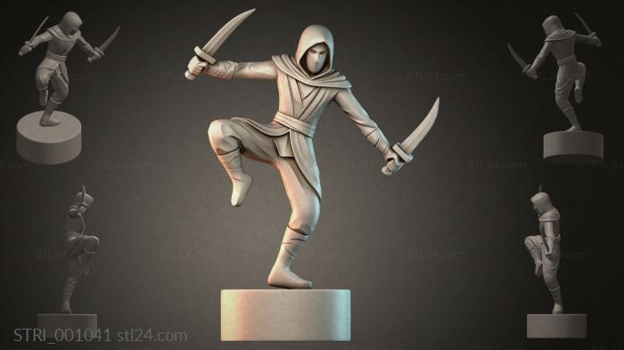 STRI_001041 3d STL model