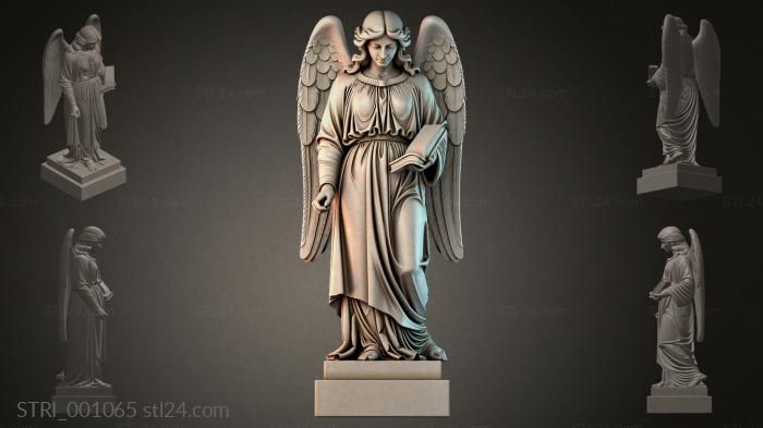 STRI_001065 3d STL model