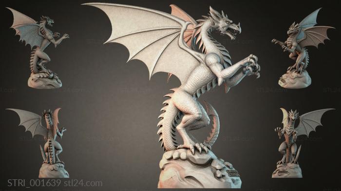STRI_001639 3d STL model