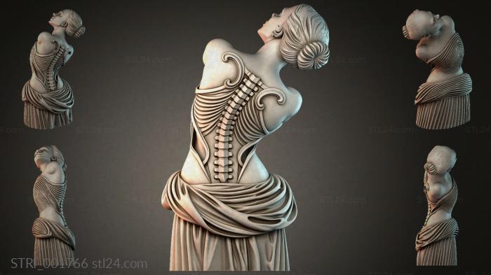 STRI_001766