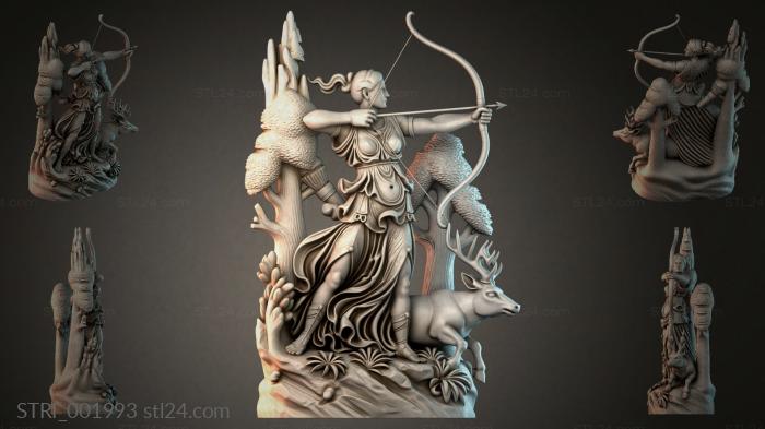STRI_001993