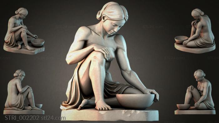 STRI_002202 3d STL model