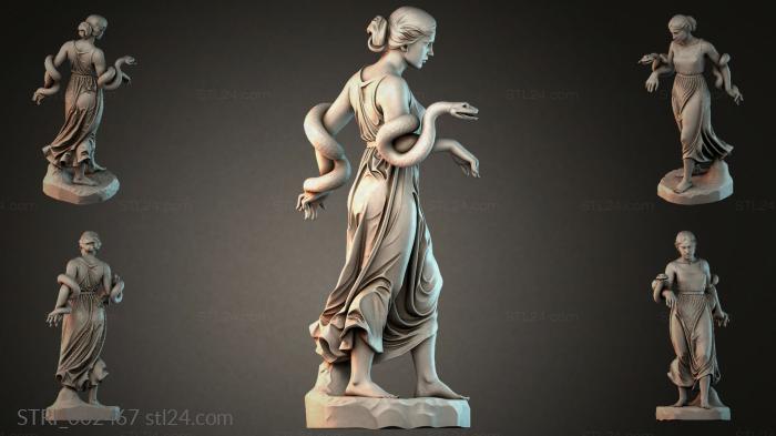 STRI_002467