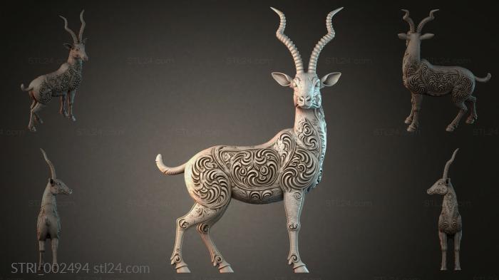 STRI_002494