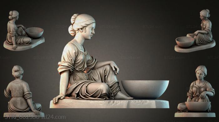STRI_002530