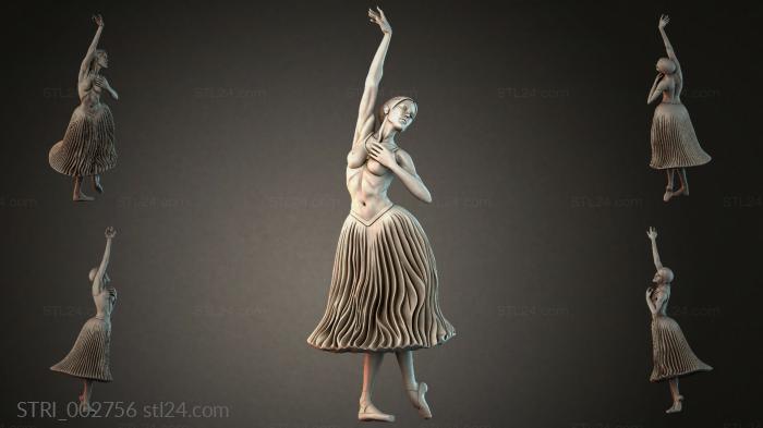 STRI_002756 3d STL model
