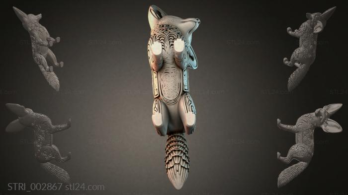 STRI_002867