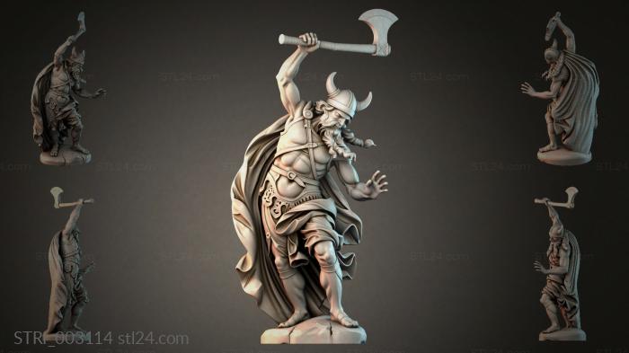 STRI_003114