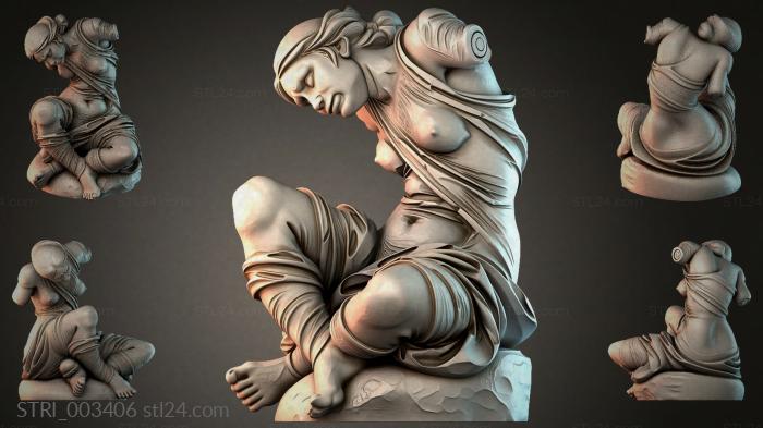 STRI_003406