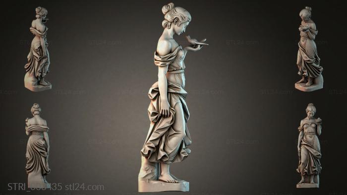 STRI_003435