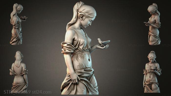 STRI_003569
