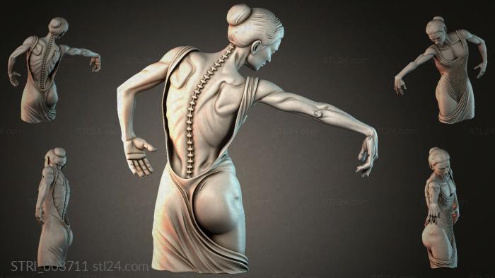 STRI_003711